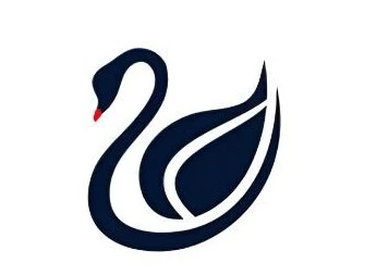 BlackSwan Logo